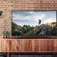 What to consider when buying a TV today: Essential features for 2025