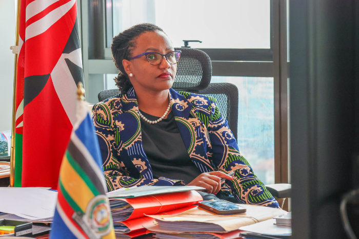State Department for Diaspora Affairs Principal Secretary Roseline Njogu
