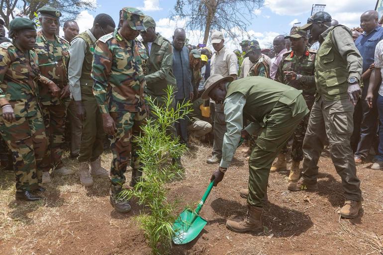 Mazingira Day is an official national public holiday dedicated to environmental conservation and the national 15 billion tree-growing campaign (Image: Files)