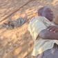 What is Busaa? Unpacking the popular Kenya’s traditional brew, alcohol content and cultural roots
