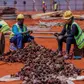 Construction workers