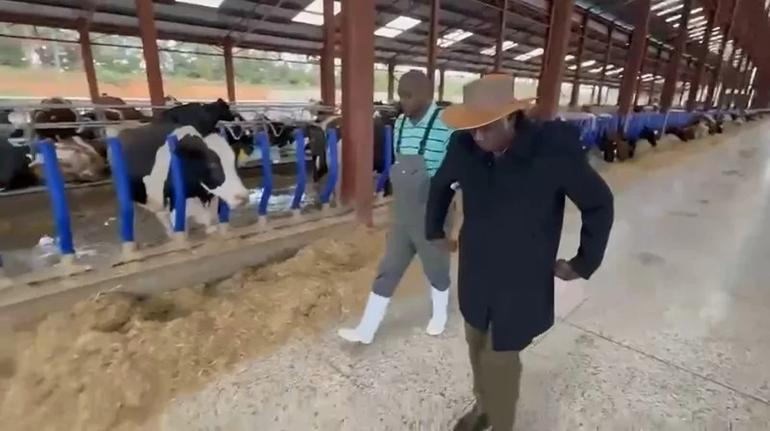 A screen-grab image of President William Ruto at his Koilel dairy farm