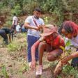 Inside Green Generation Initiative’s colourful Mazingira Day event: 2K trees, fun & learning