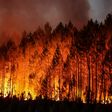 Causes of wildfires, why they are difficult to contain
