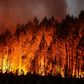 Causes of wildfires, why they are difficult to contain