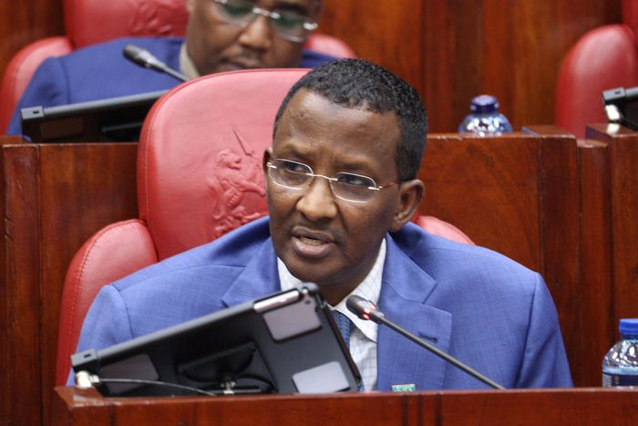 IPOA Chairperson Ahmed Issack Hassan before  the National Assembly Administration and Internal Security Committee