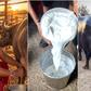 Water buffaloes: How many litres of milk can one animal produce?