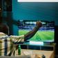 Why knockout stage in football brings out different version of every fan