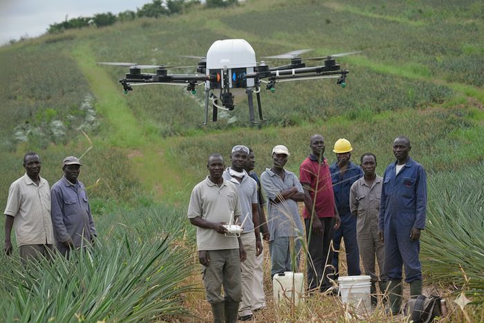 Farmers using a drone in the field