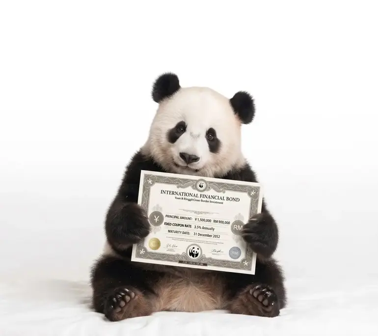 Panda bonds are Chinese yuan (renminbi)-denominated debt instruments issued by foreign governments, financial institutions, or corporations inside mainland China's domestic onshore market (Image: Files)