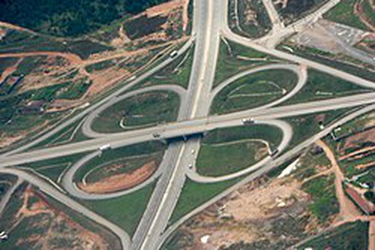 7 everyday items inspired by plant designs