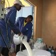 From cow to supermarket shelf: The supply squeeze behind Kenya’s rising milk prices