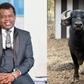 Why Okiya Omtatah's Plans to Import 12 Water Buffaloes to His Expansive Farm Failed