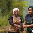 Elizabeth Wathuti: The Kenyan climate champion recognized in Business Daily's Top 40 Under 40