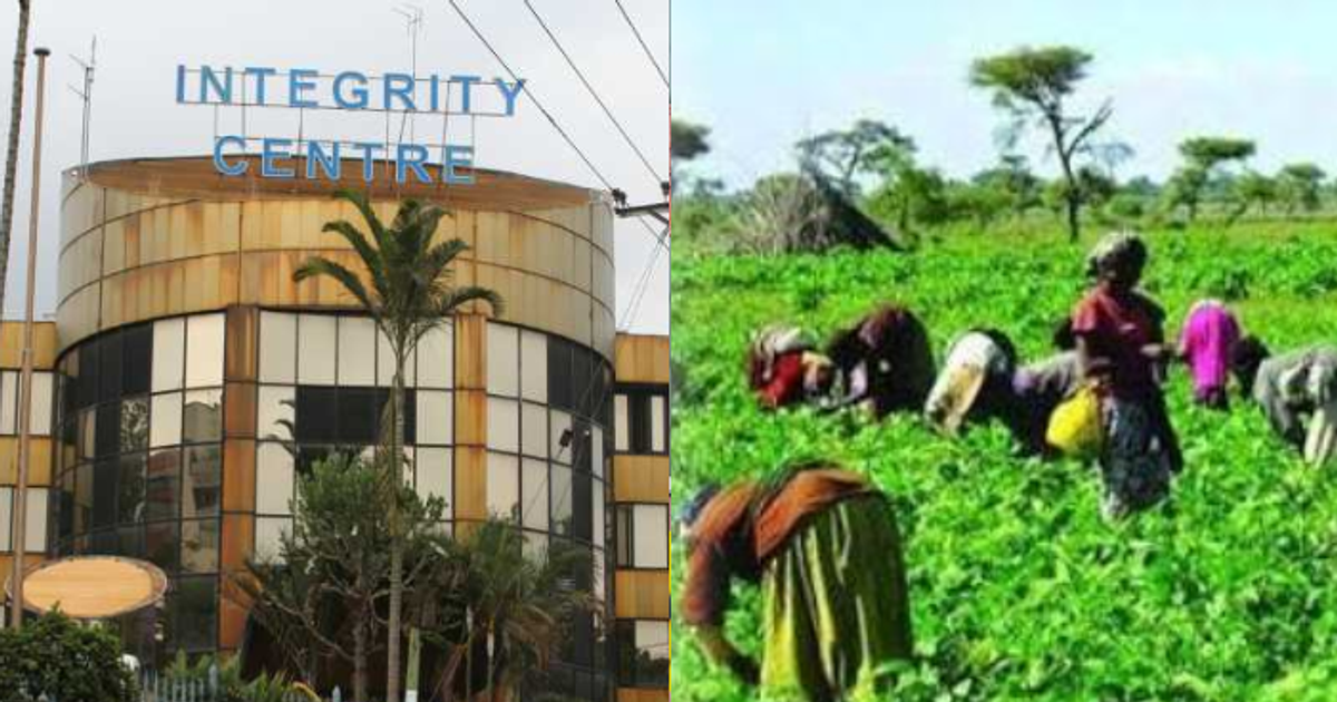 PROFIT Programme Sh1.57b fraud: Details of finance scheme at centre of EACC probe