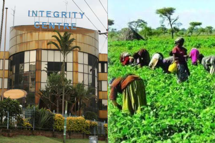 Photo collage of the Integrity Centre and farmers in Kenya. (Image: EACC-IFAD)
