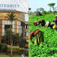 Photo collage of the Integrity Centre and farmers in Kenya. (Image: EACC-IFAD)