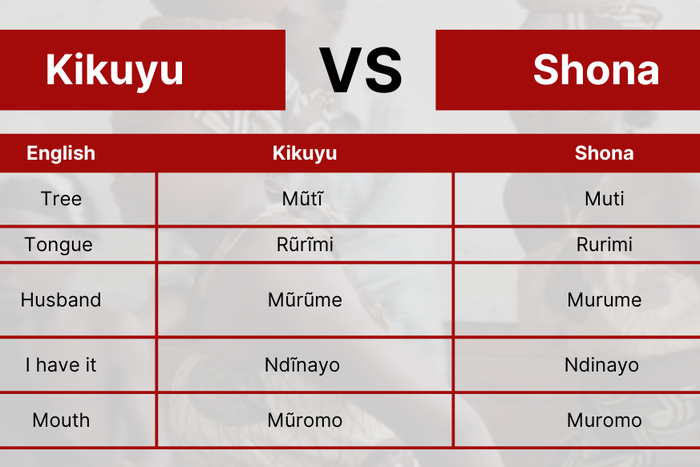 20 Kikuyu words, phrases that mean the same in Shona, Zimbabwe's largest ethnic group