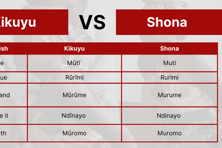 20 Kikuyu words, phrases that mean the same in Shona, Zimbabwe's largest ethnic group