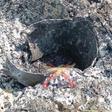 KDF find hidden bombs along roads used by civilians