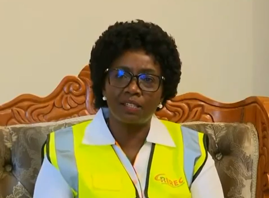 Rural Electrification and Renewable Energy Corporation CEO Dr Rose Mkalama