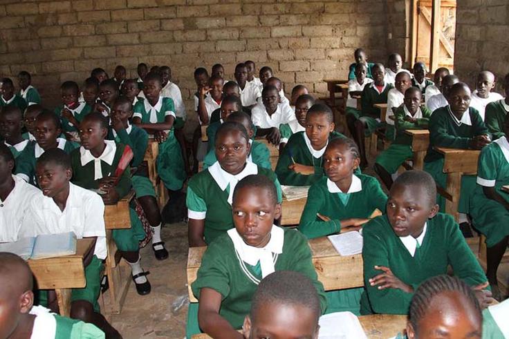 New questionnaires to help Grade 9 learners choose senior school pathways
