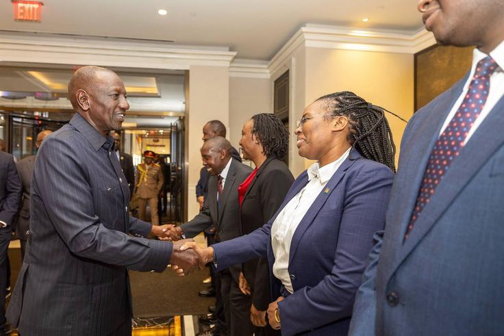 The Diaspora Investment Platform: Kenyans abroad get new digital gateway to invest at home