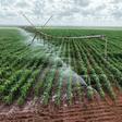 Galana Kulalu Project: History, cost, size, progress and the future of Kenya's mega farm