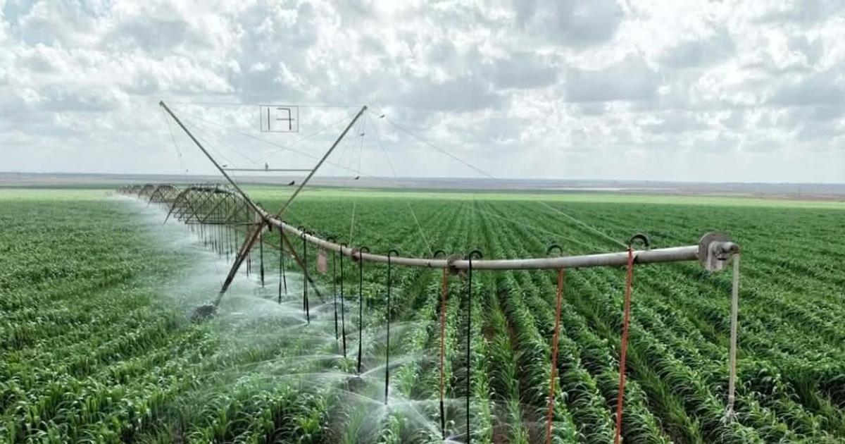 Galana Kulalu Project: History, cost, size, progress and the future of Kenya's mega farm