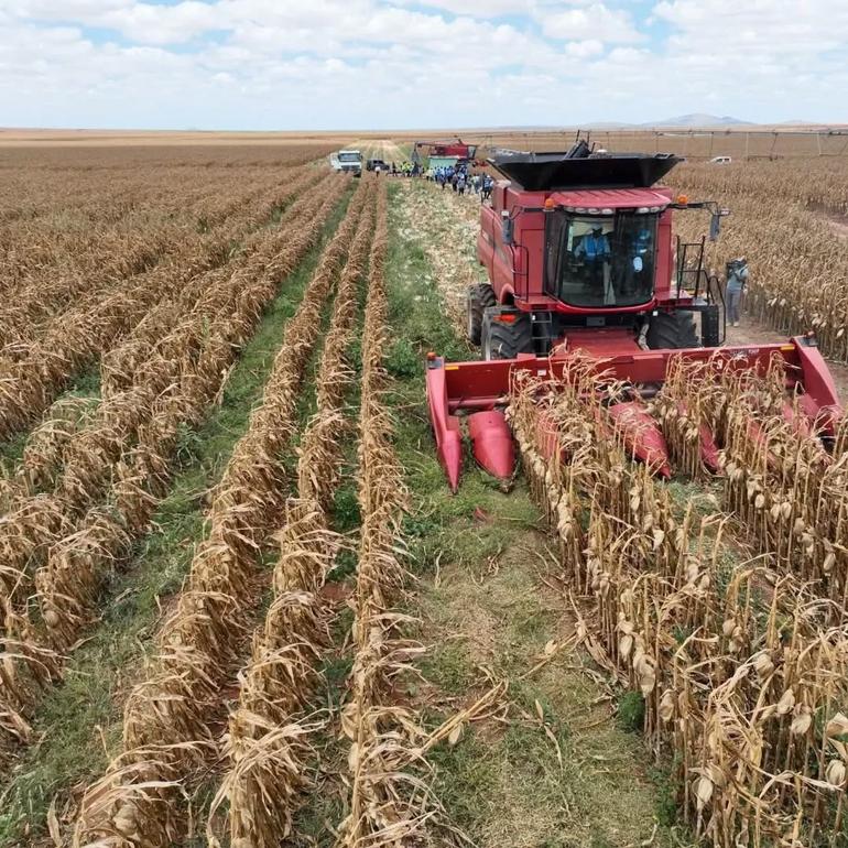 The Galana Kulalu Project is managed via the National Irrigation Authority and the Agricultural Development Corporation, it aims to transform arid lowlands into a major year-round food production zone (Image: Files)