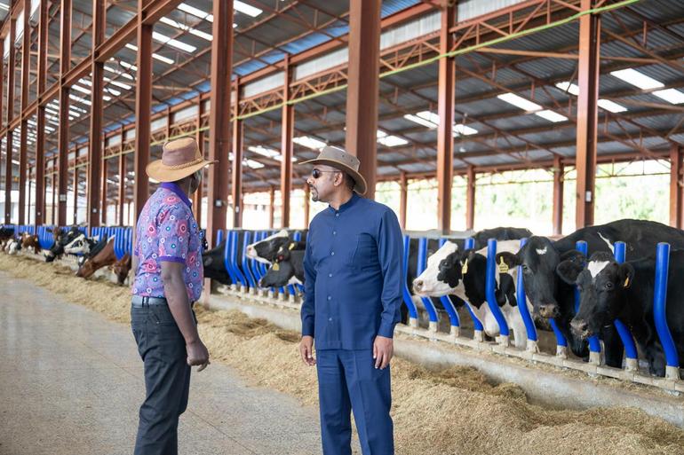 President William Ruto and Ethiopian Prime Minister Abiy Ahmed at Koilel dairy farm in Uasin Gishu County.