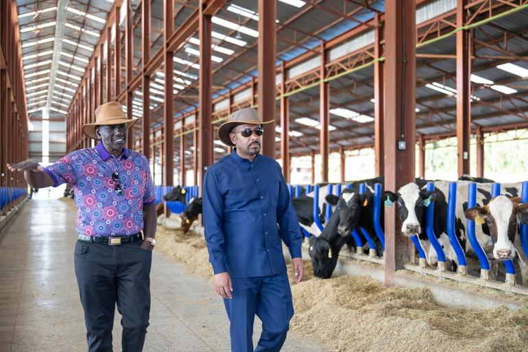 President William Ruto and Ethiopian Prime Minister Abiy Ahmed at Koilel dairy farm in Uasin Gishu County.