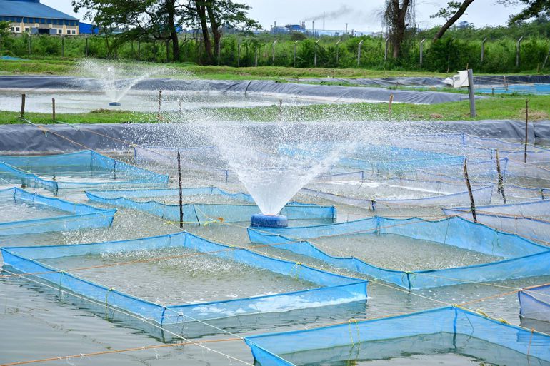 Kibos Integrated Technology Transfer Centre