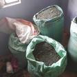Ugandan minors among suspects arrested in raid targeting Sh5.6 million narcotics