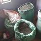 Ugandan minors among suspects arrested in raid targeting Sh5.6 million narcotics