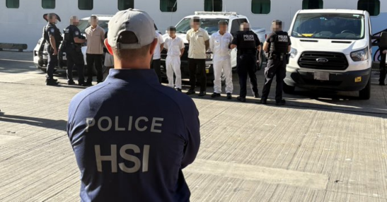 An ICE agent overseeing an arrest involving several suspects. (Image: ICE)