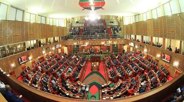 MPs exercise the sovereign will of the citizens by representing constituencies, counties, and special interest groups (Image: Files)