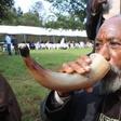Muratina's comeback: Learn how the traditional Agikuyu brew is made