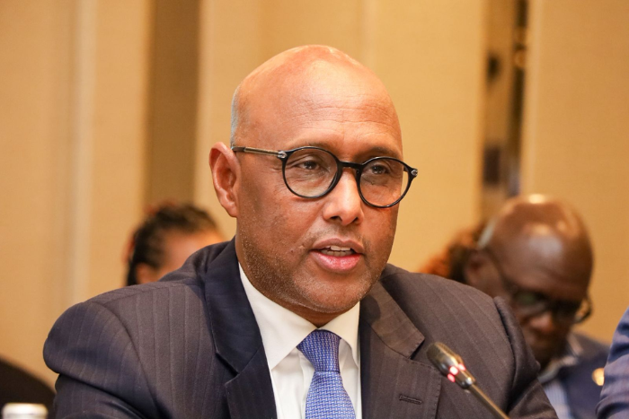 Kenya Revenue Authority (KRA) Commissioner General Adan Abdulla Mohammed. (Image: KRA)