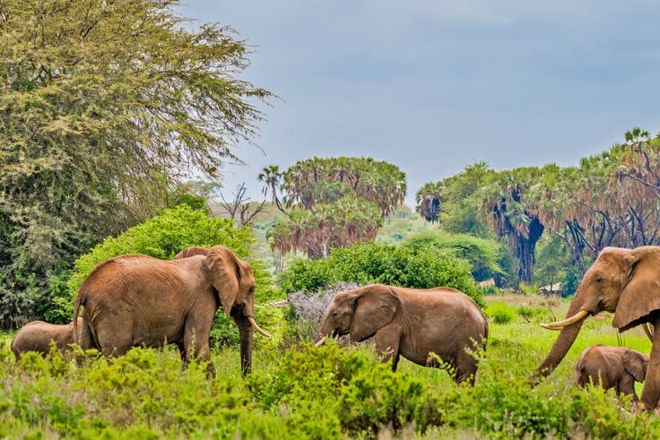 Top holiday destinations in  Kenya based on weather