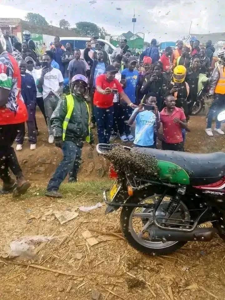 A Boda Boda bike alleged to have been stolen is covered by swarming bees in Nyeri County, early January 2026 (Image: Facebook)