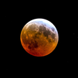 The partial phase of a lunar eclipse captured over Canada in 2025. (Image: Chen Shaojin/VCG via Getty Images)
