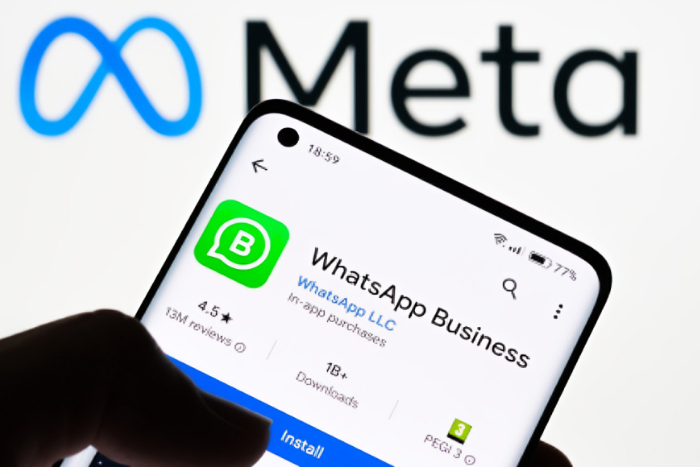 WhatsApp Business mobile application. (Image: UGC)