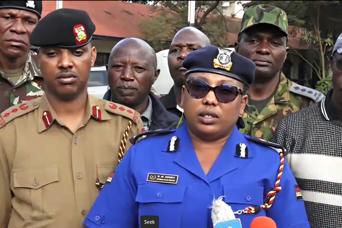 County Police Commander Doris Kemey addressing the media