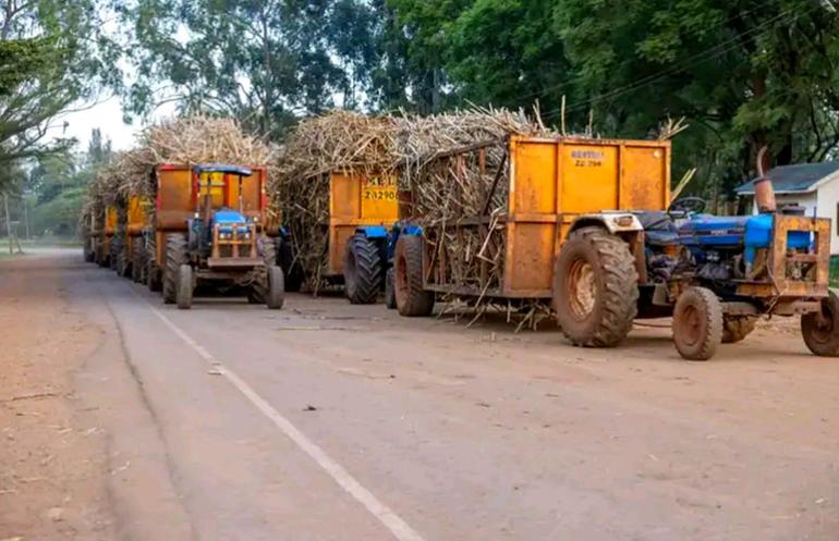Founded in 1964, Muhoroni Sugar Company became a key economic driver in the sugar-belt areas of Muhoroni, Nyando, Nyakach and other parts of Nyanza and the Rift Valley (Image: Files)