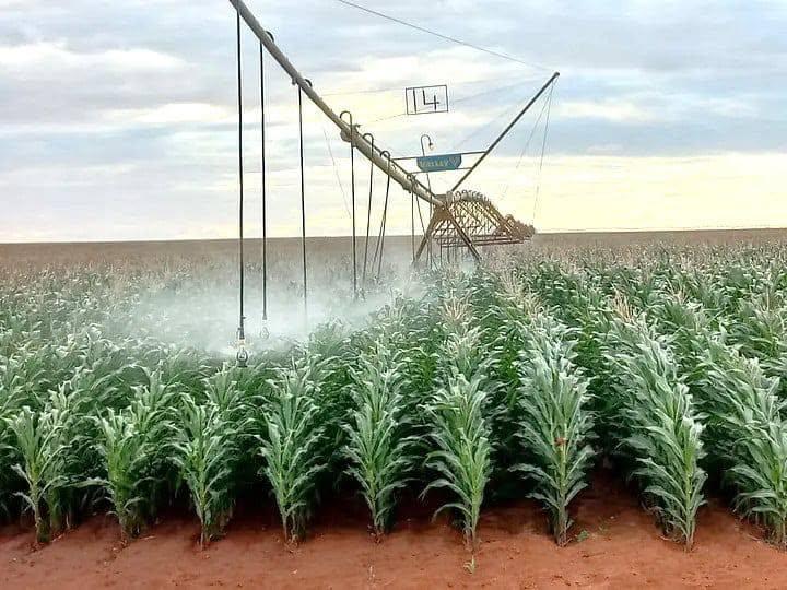 The Galana Kulalu project leverages the Galana River for large-scale, automated center-pivot irrigation (Image: Files)