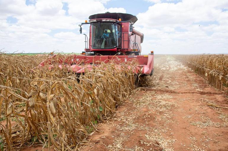 Galana Kulalu project originally launched in 2013 to lower food costs and reduce maize imports (Image: Files)