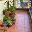 7 ways Nairobians are repurposing balconies into productive spaces