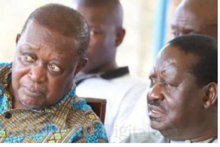 An image of Oburu Odinga with his late brother Raila Odinga.(Image: Oburu Odinga)