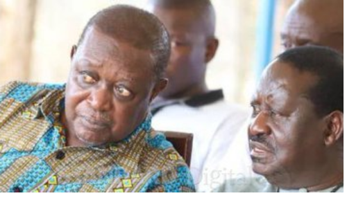 An image of Oburu Odinga with his late brother Raila Odinga.(Image: Oburu Odinga)